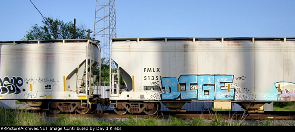 FMLX 51351
